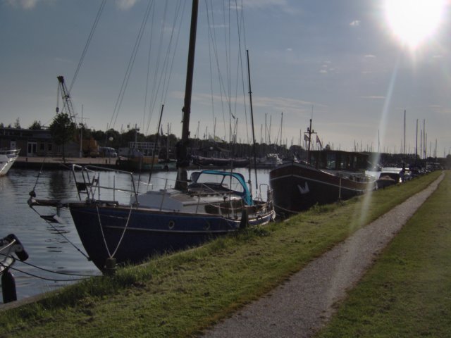 lemmer.jpg