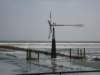 molen_small.jpg