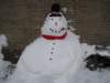 sneeuw_small.jpg
