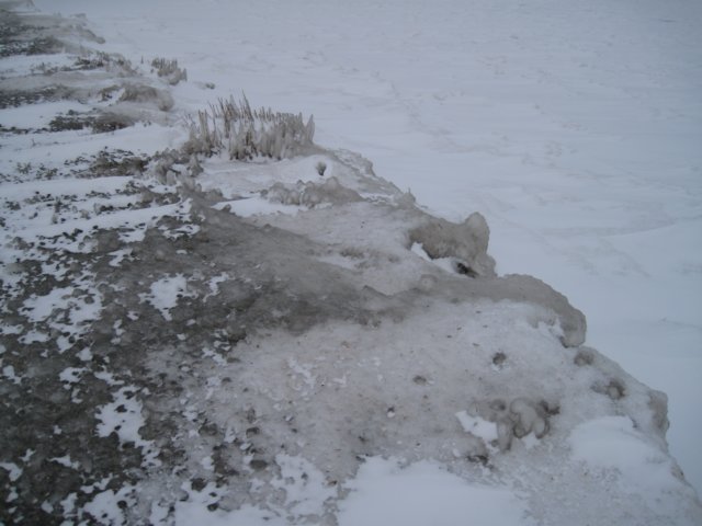 winter.jpg