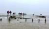 wadlopers_small.jpg