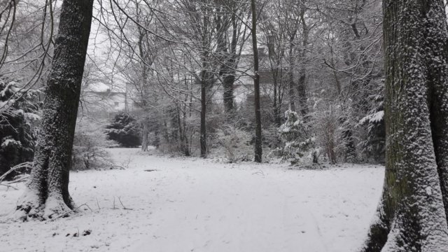 sneeuw.jpg