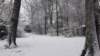 sneeuw_small.jpg