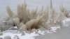 winter_small.jpg